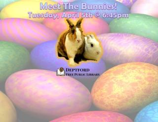 colored eggs as the background, with a picture of two rabbits, one white, one white and brown